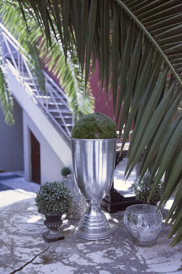 La Villa Nova Montpellier Exterior foto